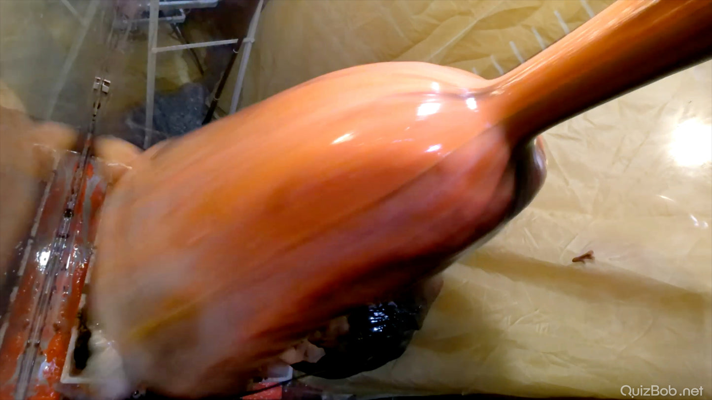 CHARLIE W DOUBLE - Mucked Up & Slime Balls